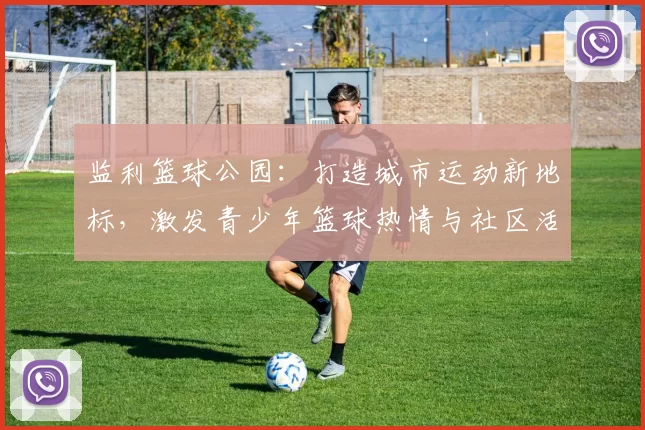 监利篮球公园：打造城市运动新地标，激发青少年篮球热情与社区活力