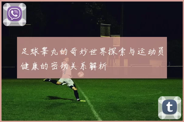 足球睾丸的奇妙世界探索与运动员健康的密切关系解析