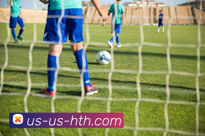 华体会体育平台生态图